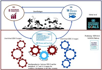 The role of marine and diving authorities in workforce development in the blue economy